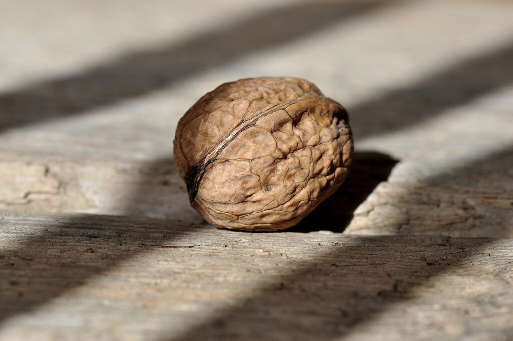walnut, nut, nuts, healthy, yummy, natural product, wooden floor, light and shadow, walnut, walnut, walnut, walnut, walnut, nut, nut, nut, nuts, nuts